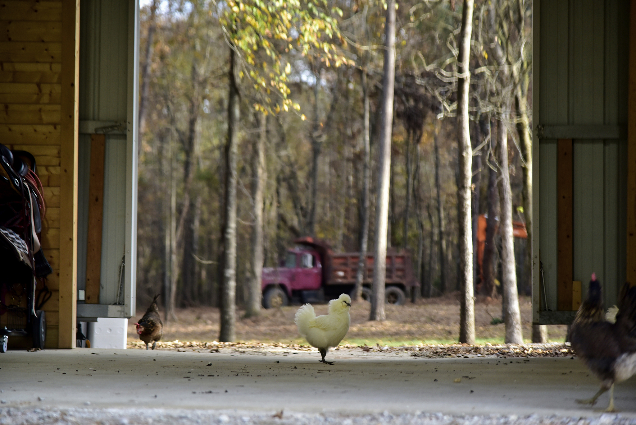 44 Farmhouse WEB 069